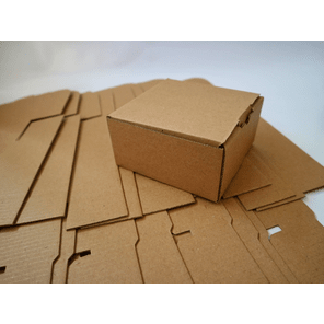Sustainable Packaging Box